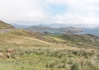 Parc national de Killarney (11)